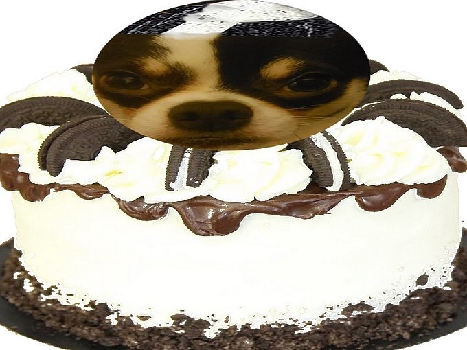 pocket dog gateau apetissant miam crocquaient oups jdilla oreo tete