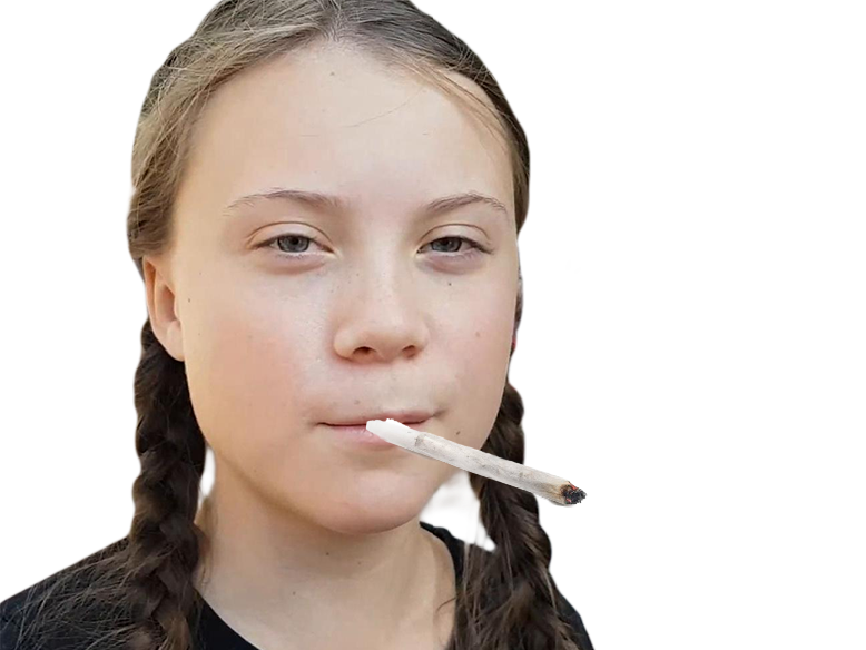 greta thungberg joint cool mignonnz