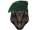 velociraptor-raptor-miroir-ent-beret-qlf-paz-chaud-dinosaure