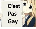 no-homo-cest-pas-gay-mugi-k-oon-koon-kikoojap-kj-blonde-pancarte