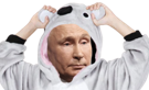vladimir-poutine-ukraine-koala-pyjama-soir-dodo-donbass
