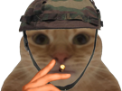 chat-miroir-casque-militaire-clope-fume-fumer-cigarette
