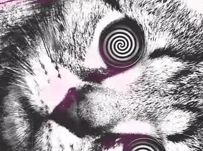 chat not ready golem