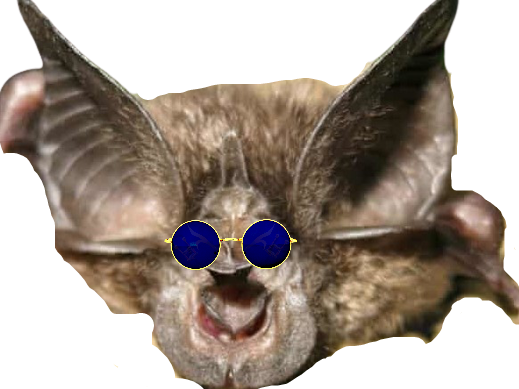 chauvsouris risitas issou lunettes bleues