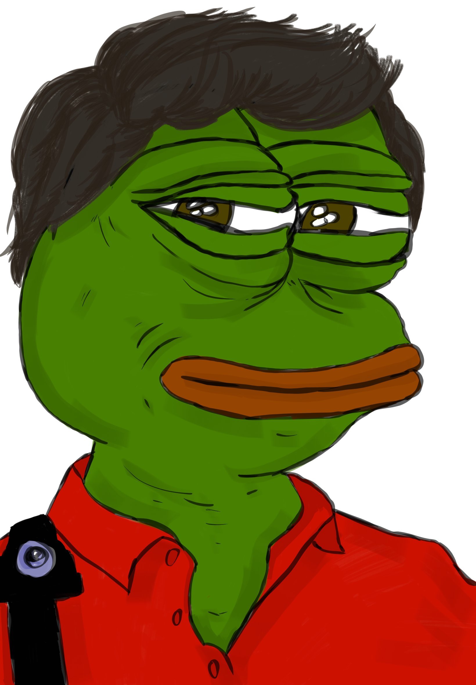 antoine de maximy pepe frog globetrotter dormir chez vous jdcv