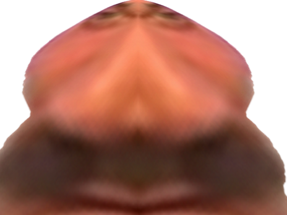 risitas miroir deforme issou chancla rire