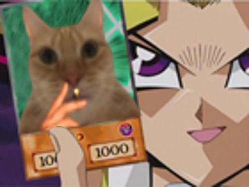 chat cigarette jvc risitas main carte piege yugioh miroir clope stretch wide etire