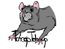 rat-dedi-tchooptchoup-dessin