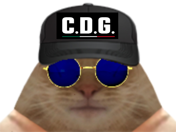 chat cartel lunettes golem cdg