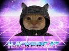 chat-capuche-capuchent-hacker-hackerman-hackercat