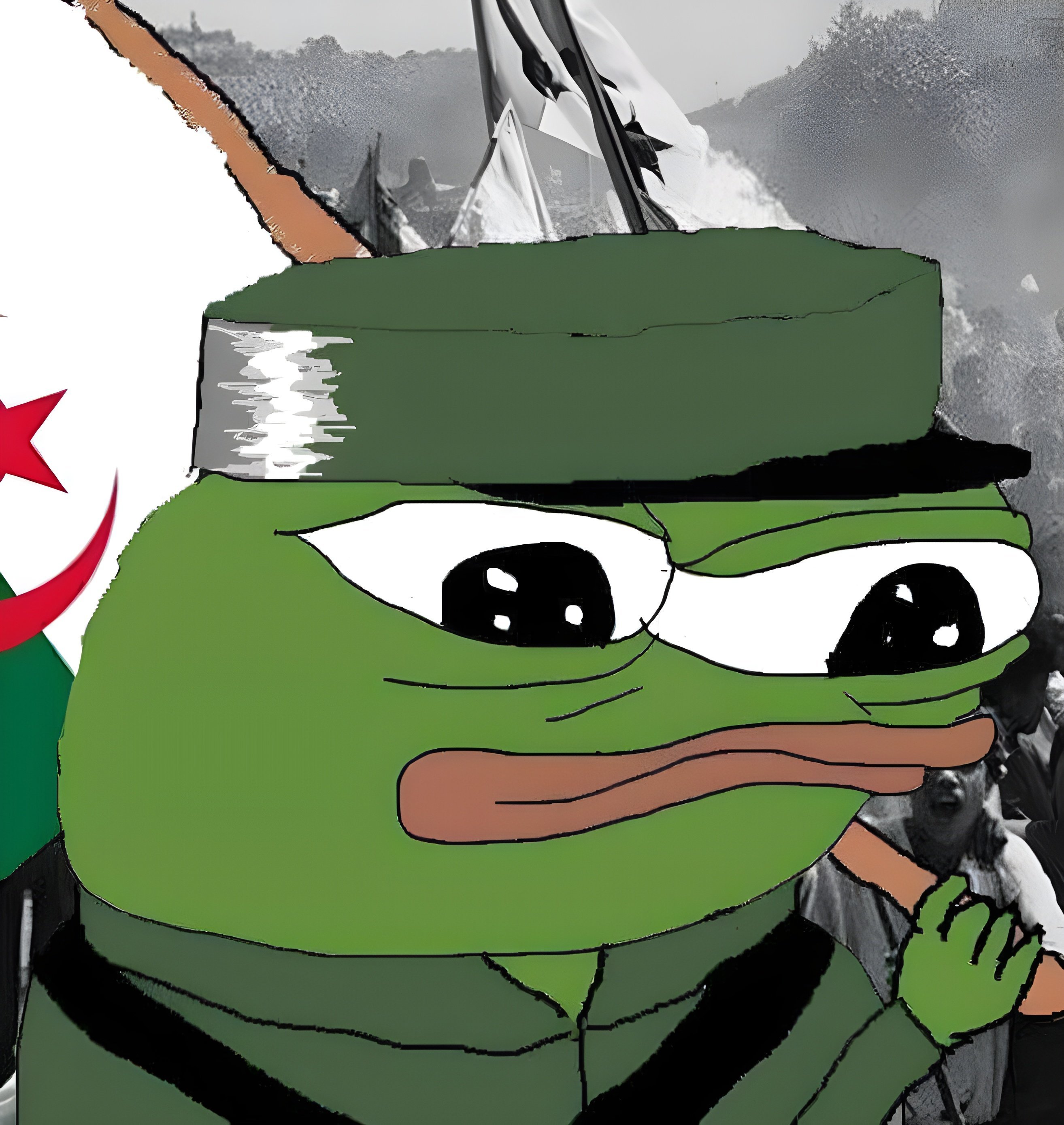 pepe algerien revolution fln