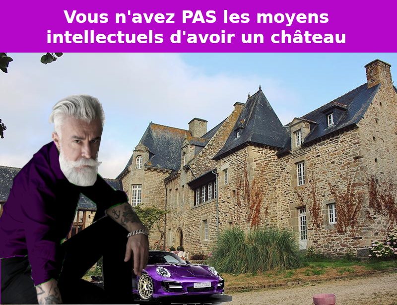 hipster chateau moyens intellectuels
