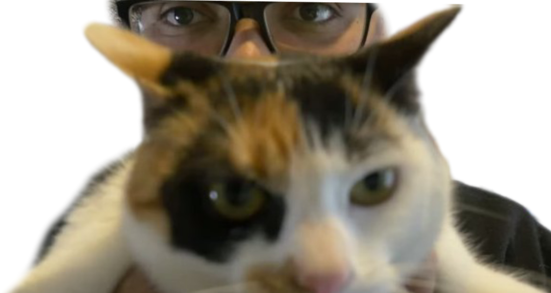 le chef otaku lechefotaku et son chat