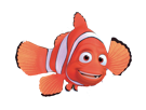 nemo-marin-fils-poisson-clown-dory-mer-requin-sushi