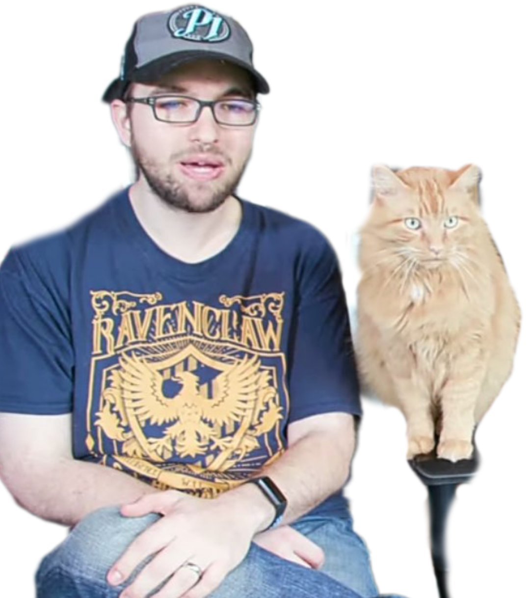 linksthesun et son chat