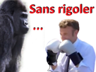 macron-president-boxe-mma-gorille-sans-rigoler-pave