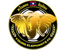 young-elephants-foot-football-laos-lao-premier-league-logo-club-afc-cup-indochine-asie