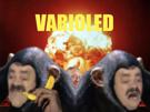 variole-explosion-singe-larry-varioled-maladie-epidemie-pas-pret