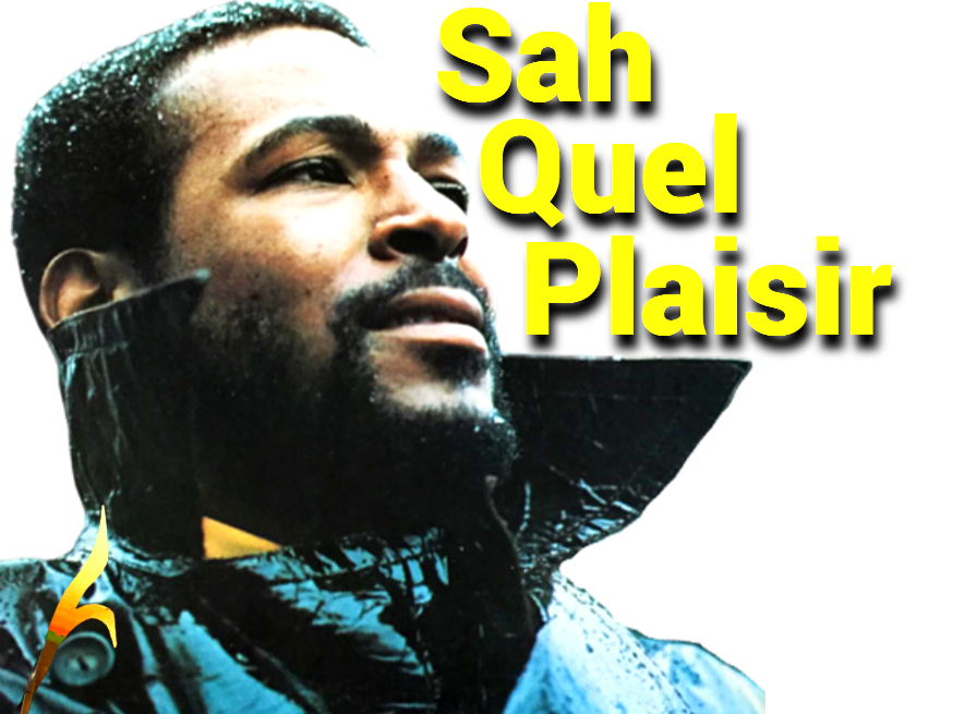 marvin gaye soule soul musique tison sah quel plaisir ent paz noraj alpha depit de