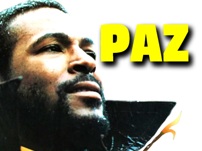 marvin gaye soule soul musique tison sah quel plaisir ent paz noraj alpha depit de