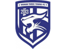wuhan-three-towns-foot-football-club-logo-chine-csl-chinese-super-league-asie-championnat-chinois