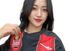seoul-foot-football-club-fcseoul-fan-supportrice-kleague-championnat-coreen-k-league-coree