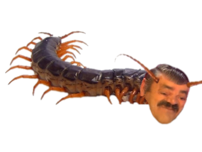 risitas scolopendre arthropode myriapode mille pattes millepattes apaapa tinnova 2sucresreup 2sreup pasdemoi