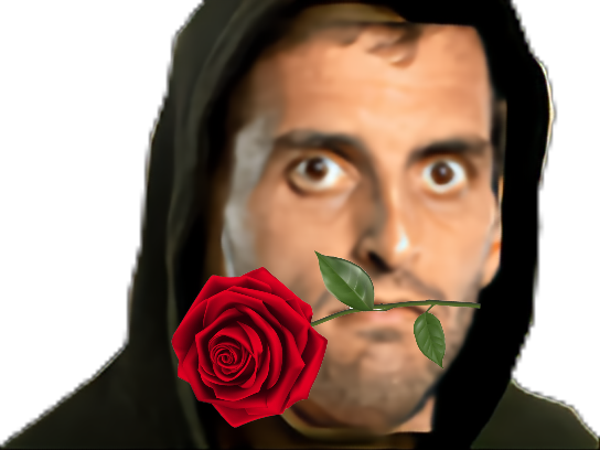 tennis albert ramos vinolas capuche fou gros yeux seducteur amour fleur rose rouge