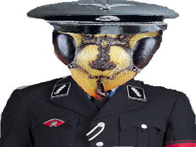 abeille allemand nazi