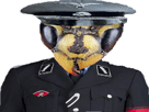 abeille-allemand-nazi