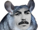 beatles-george-harrison-chinchilla-rongeur-gruik-soyeux-faille-piggy-zoom-obese-couilles-cuy