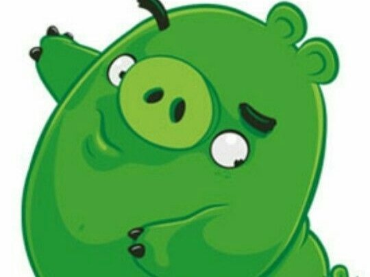 angry birds el con cochon pig cochonou gwer porc porcinet