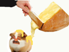 faille-piggy-gruik-cochon-dinde-cobaye-soyeux-mignon-fromage-frometon-raclette-rat-porc-bouffe-nourriture