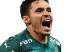 raphael-veina-foot-footballeur-bresilien-palmeiras-championnat-copa-libertadores-prestige-club-sport-attaquant