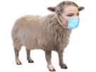 anya-taylor-joy-anyamon-mouton-masque-sanitaire-golem-covid-animal-ferme-animaux-suiveur-enclos