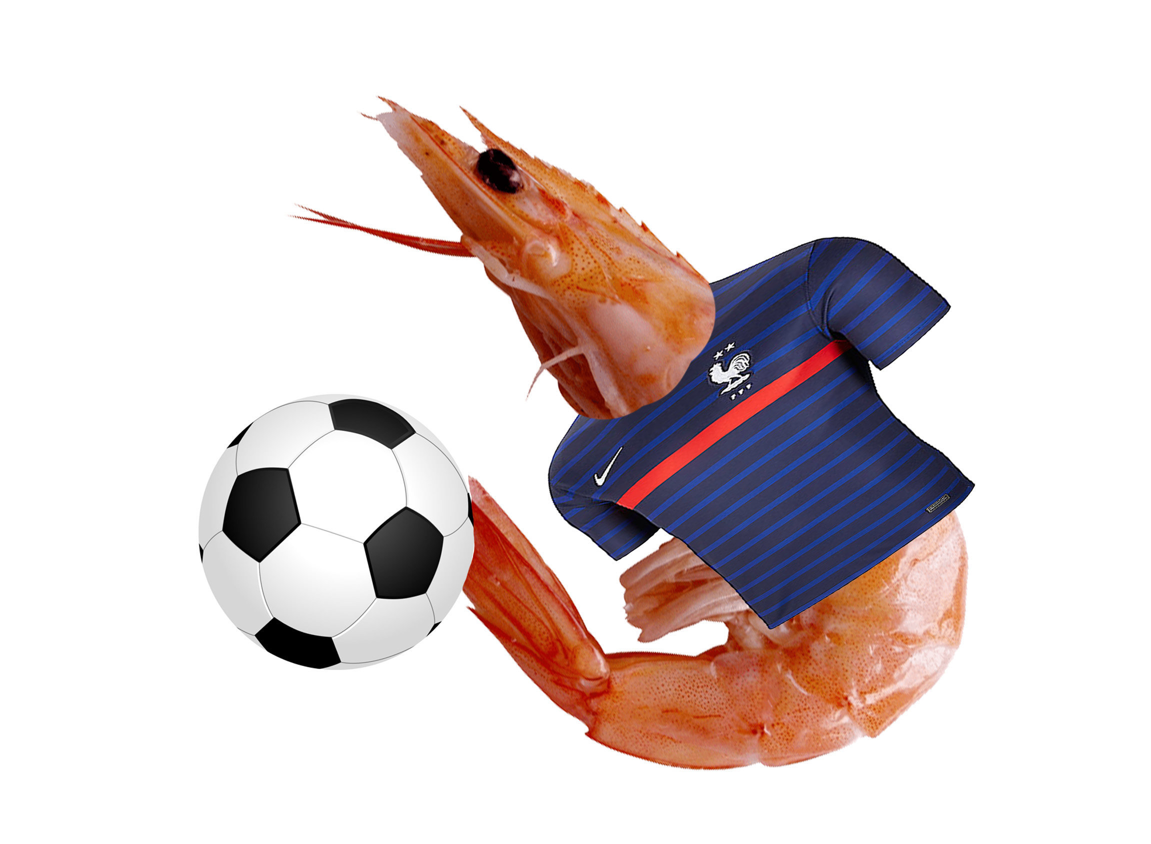 crevette shrimp football carrefour crevettegate crustace france