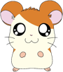 hamtaro-hamster