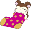 snoozer-hamtaro-hamster