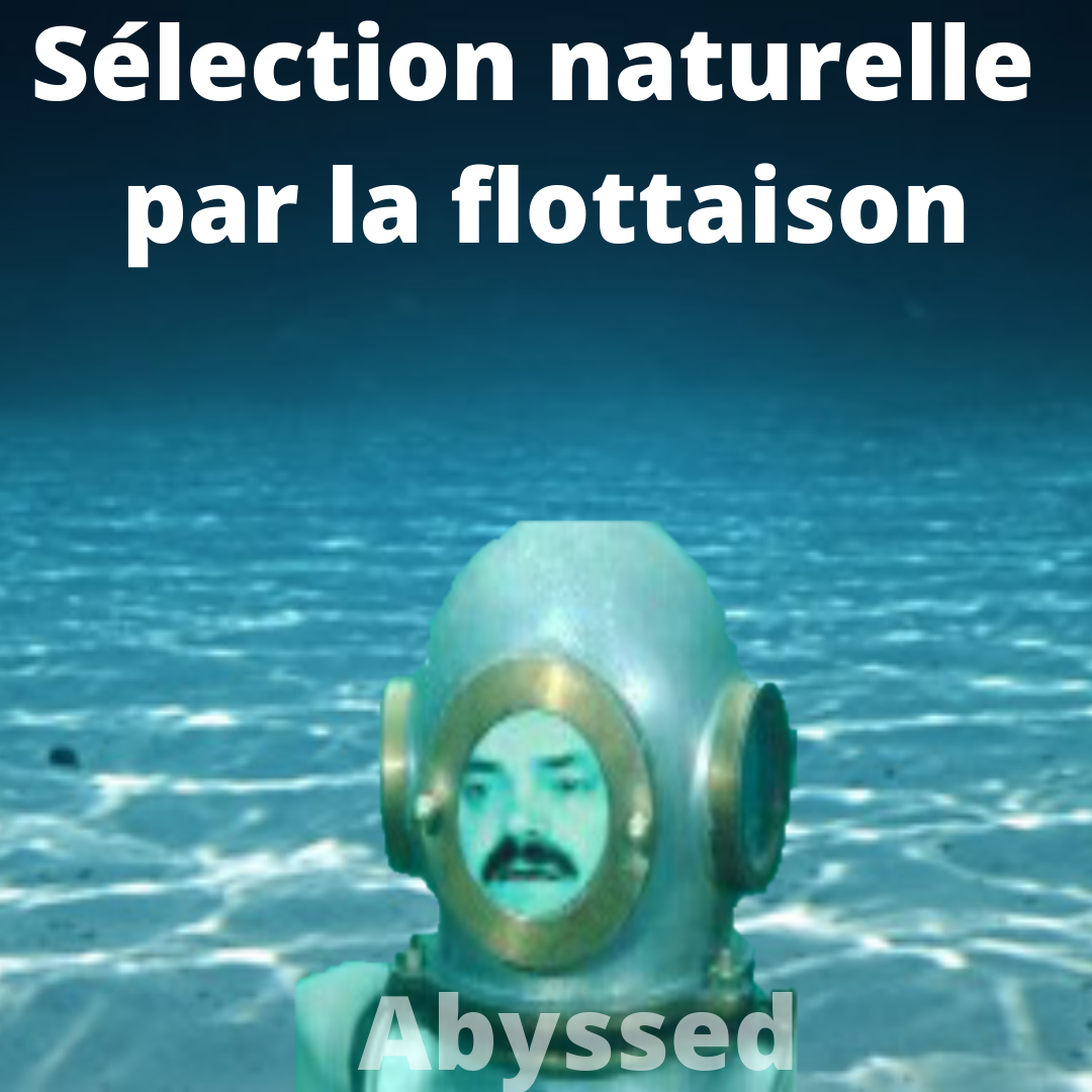 flottaisonned master1 selectionnaturel thk