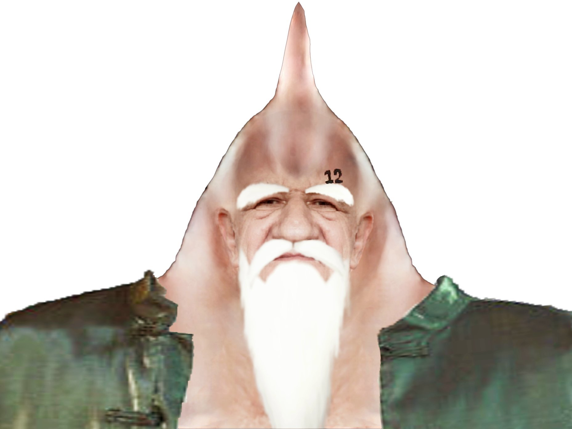 don chinjao reel one piece crane bosse pointu vieux pirate piraterie jean lassalle