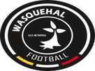 wasquehal-foot-football-national-2-championnat-francais-france-nord-lille-logo-club