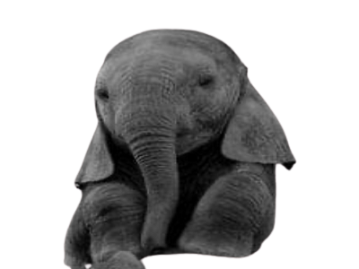 elephant mignon elephanto