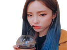 nekoshinoa qlc kpop heize