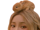 nekoshinoa qlc kpop heize