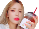 nekoshinoa qlc kpop heize