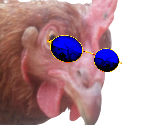 poule oeuf not ready lunettes bleues