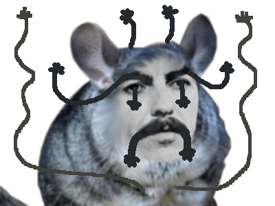 george harrison beatles rongeur chinchilla gruik soyeux bras main calin mignon bisoubisou