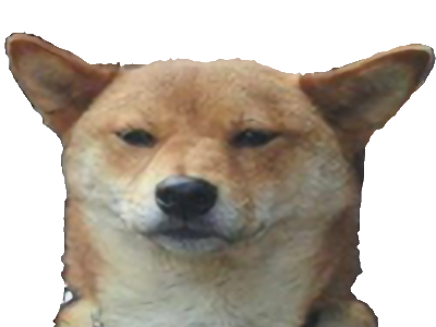 chien tete ouaf mieux