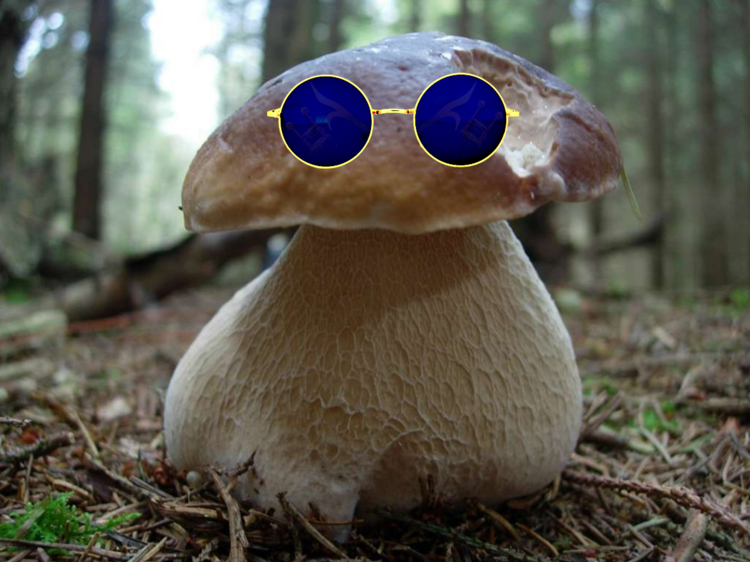 champignons golem