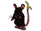 ratus-rat-noir-tox-ratox-tison-surmulot-paris-peste-lapin-seb-araignee-drogue-defonce-depression